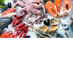 wintour's seafood