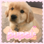 pupsu