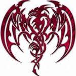Official Team Dragons