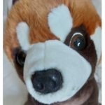 panda123 studio