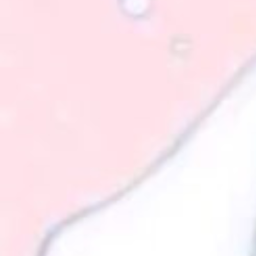 · pawsie ୨୧