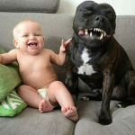 Cheesy Kidz