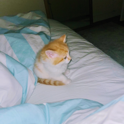 wip