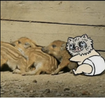 {※Unknown puppies※}