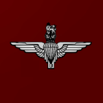 Paгachute Regiment