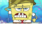 SpongeBob Army/Cult