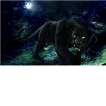 attack of the black panthers