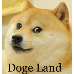 Doge Land