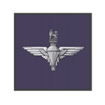 16 Airborne Medical Regiment