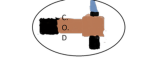 Culture Of Darkness ( raiding group )