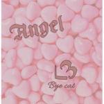 ~*-Angel of the sky-*~