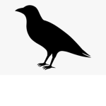 CrowonYT