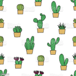 ~*epic cactus group~*