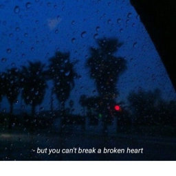 Maybe Neverlandx