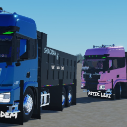 ["SHACMAN"]Philippine Truck Driving PapapDol icon