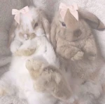 Lolwy Group Thumbnail