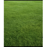 touch grass clan (: