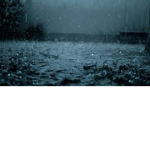 Rainfall group