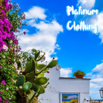 【Platinum Clothing】
