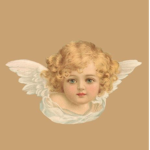 • Valley Angels •