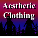 ~Aesthetic clothing!~