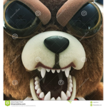 Teddy bear ROAR!