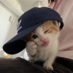 민초서버 Group Thumbnail