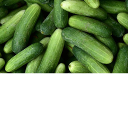 Cucumber Simulator