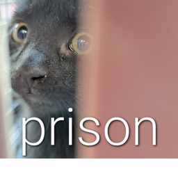 Tube Prison