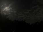 ‘sleepinqbows