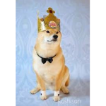 Doggo's amazing kingdom
