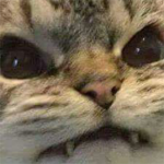 E G O F I L T E R