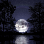 Lunar Echoes