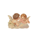 Adore's Angels