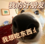 我的好朋友（交流群）