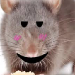 The Elite Rat Battalion Sword Fighting Arena
