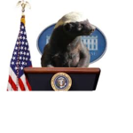 Honey Badgers United official