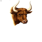The bull squad
