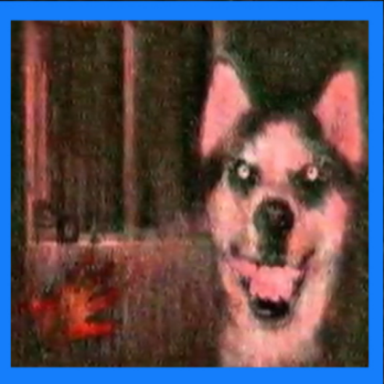 smile dog Roblox decal