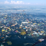 Save The Seas!