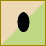 2nd Commando Regiment [2CR]