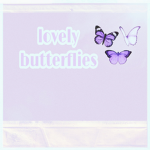 ~Lovely butterfly’s <3