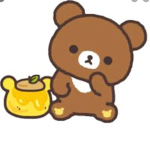 Honey bear plays