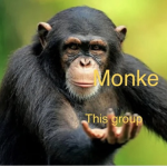 MONKE Respect Team