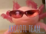Axolotl team :3 :3 :3