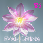 Evangelina<3
