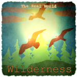 The Real World: Wilderness