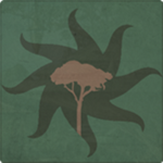 The Wookiee Tribes of Kashyyyk 