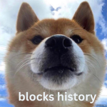 blocks history