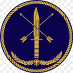 Special Operations Group ##### (for bh)